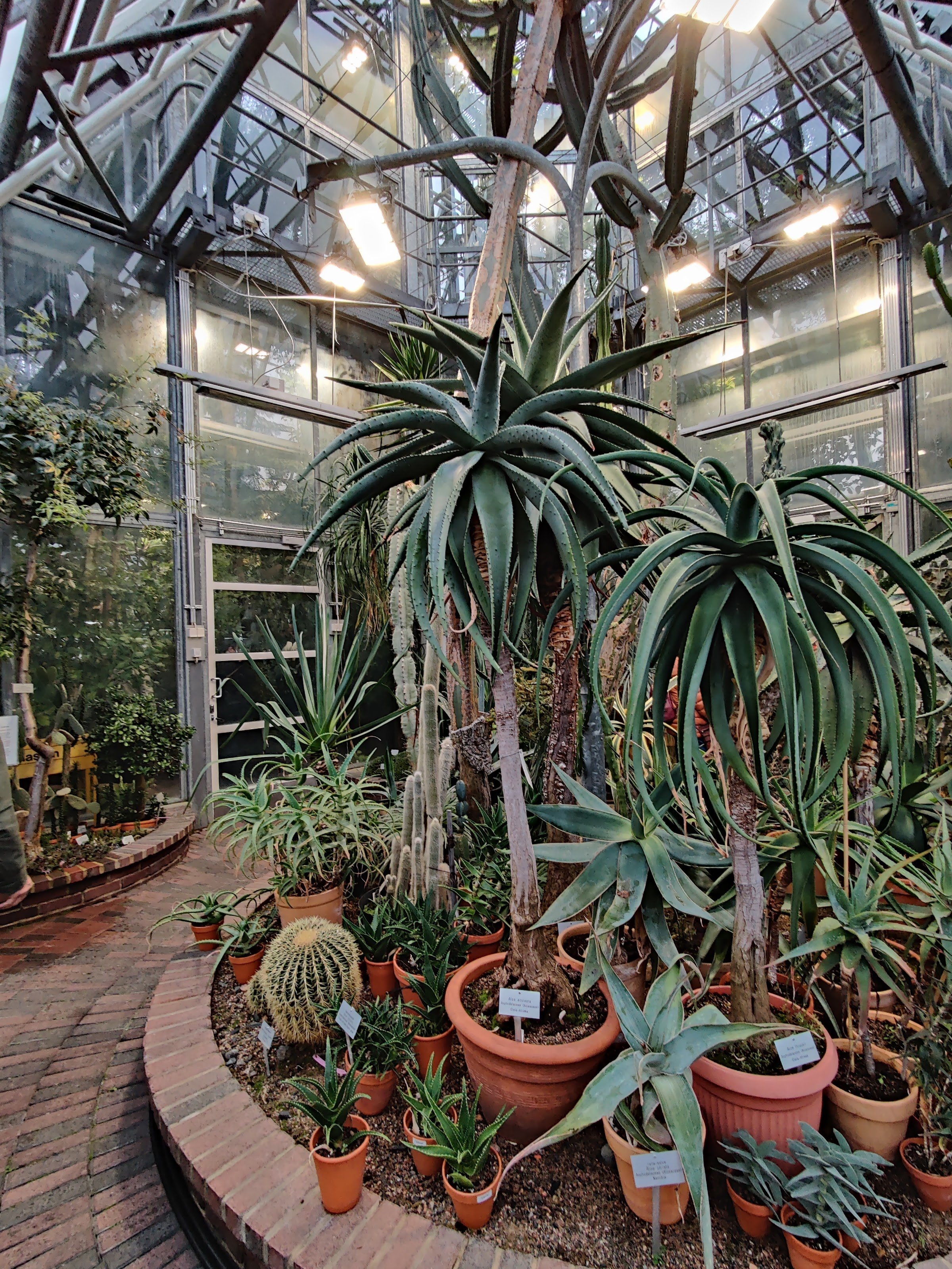 University of Oulu Botanical Gardens